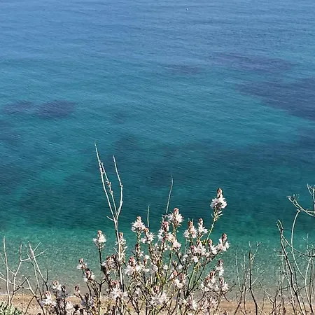 Apartment Elima's Mood Scopello (Sicily)